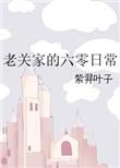 老关家的六零日常免费观看