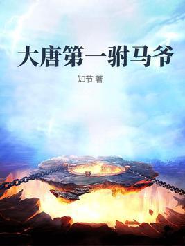 大唐第一驸马爷百科