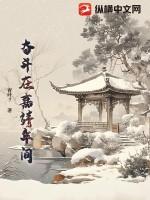 奋斗在嘉靖年间 青叶7