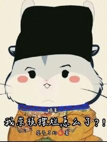 明末我崇祯摆烂怎么了?!阅读